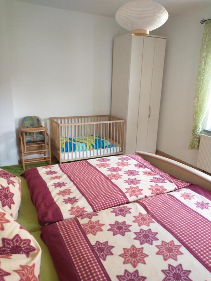 Ferienwohnung Im Erzgebirge In Gelenau Zewnętrze zdjęcie